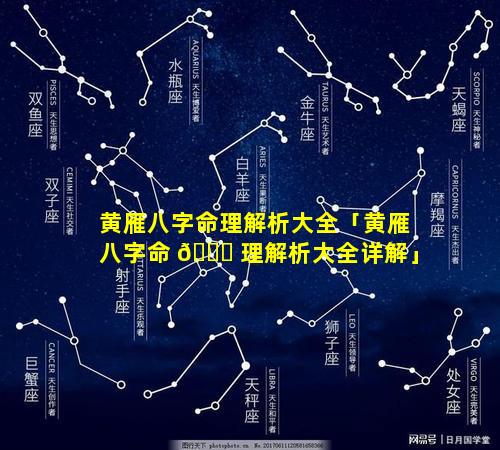 黄雁八字命理解析大全「黄雁八字命 🐞 理解析大全详解」